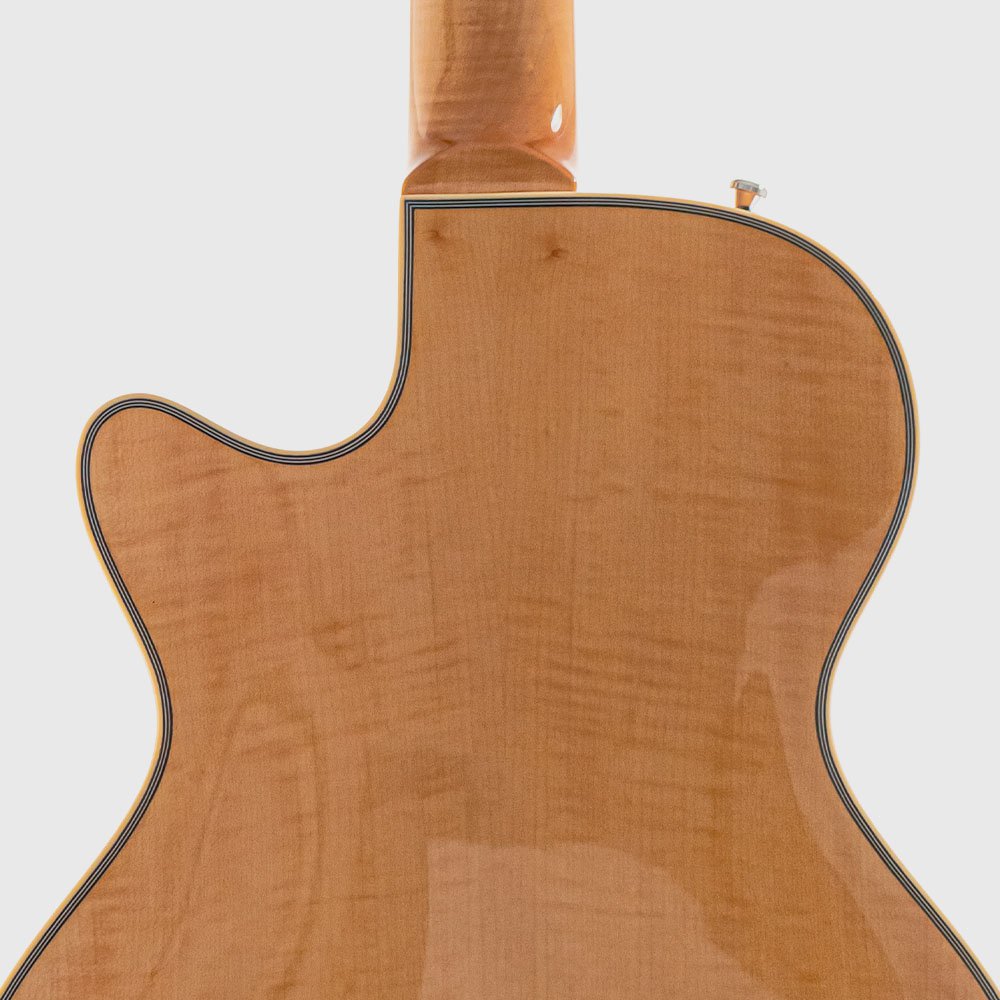 Flamed Maple Back Duesenberg Alliance Series Tom Bukovac Backside