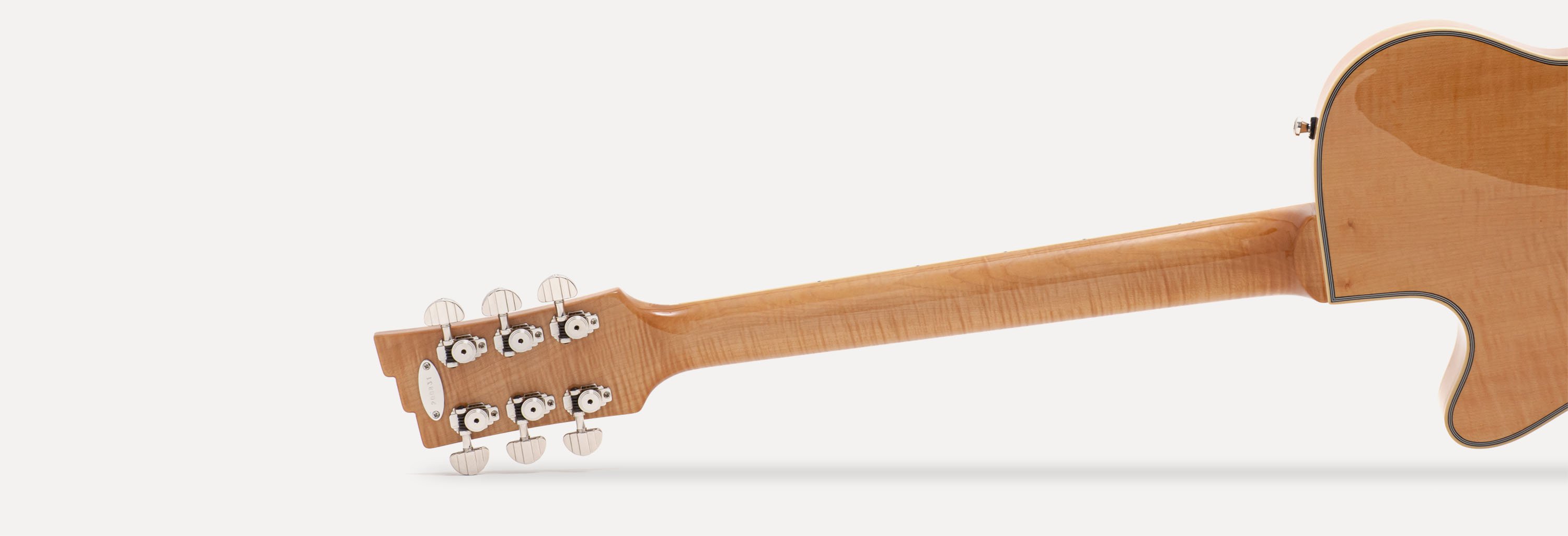 DAC-TB-QM_wide_NECK.jpg Duesenberg Alliance Series Tom Bukovac Neck